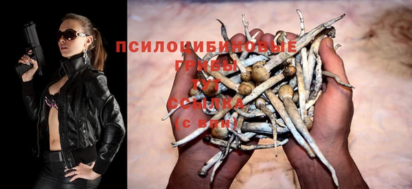 бошки Абдулино
