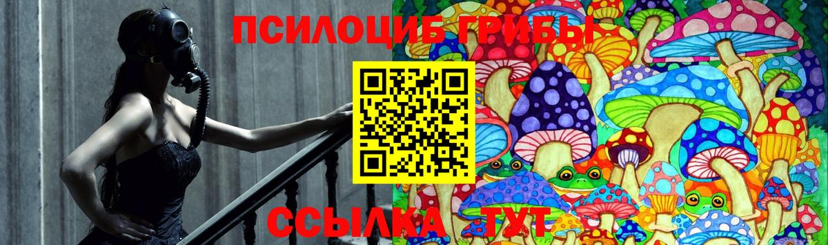 Псилоцибиновые грибы прущие грибы Севастополь