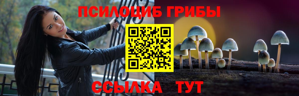 Галлюциногенные грибы ЛСД  Вход с VPN  Севастополь 
